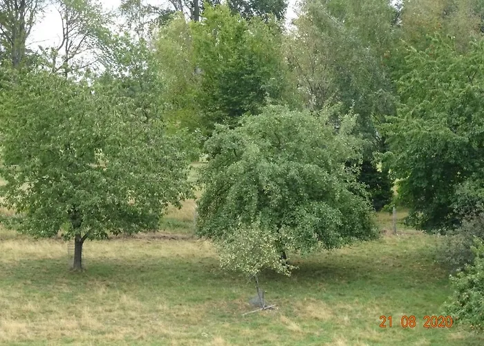 Ferienwohnung Lohrer